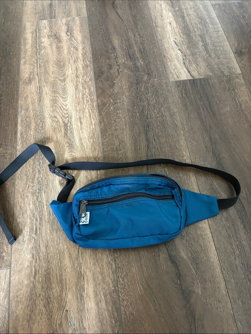 Vintage Eagle Creek Teal Blue Crossbody Waist Bag